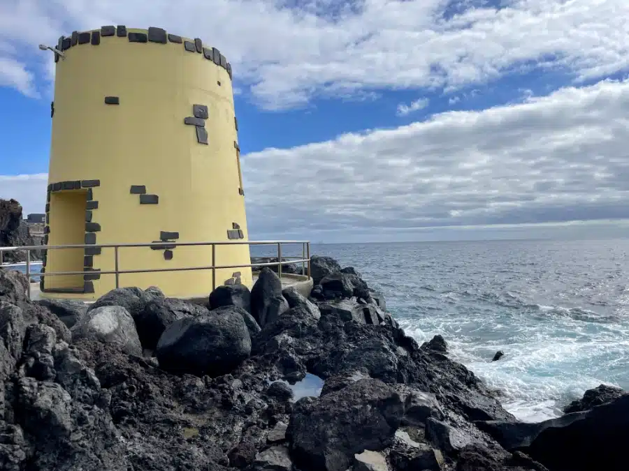 Madeira's rocky shores