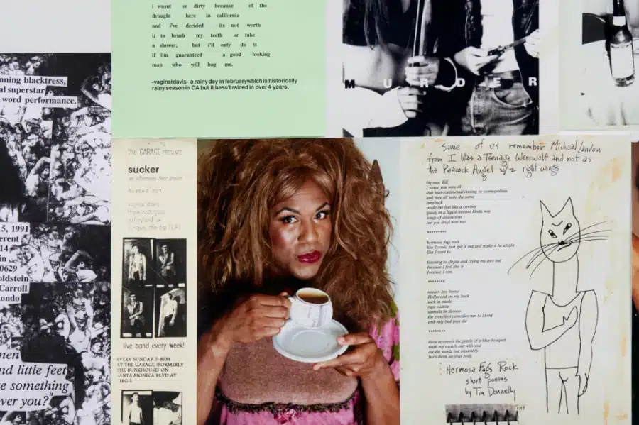 Vaginal Davis. Memorabilia and ephemera as part of The Wicked Pavilion. 2021. Installation view, Vaginal Davis, The Wicked Pavilion, Eden Eden, Berlin, 2021. Courtesy the artist and Galerie Isabella Bortolozzi, Berlin. © Vaginal Davis.