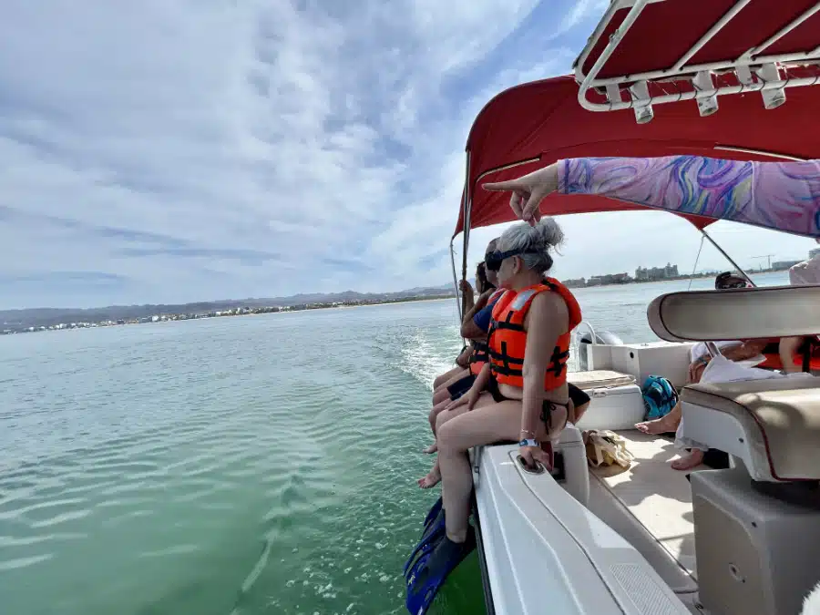 Swimming with dolphins