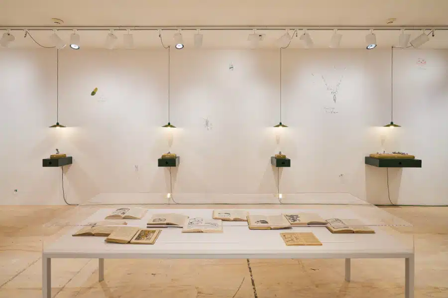 Installation view of Vaginal Davis: Magnificent Product