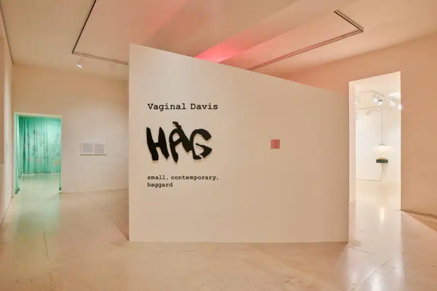 Installation view of Vaginal Davis: Magnificent Product