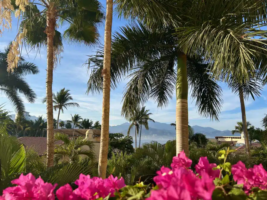 View from Velas Vallarta