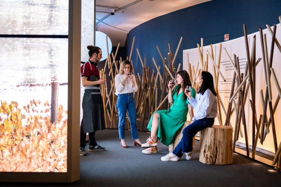 Via Sensoria - Photo credit DBY Photographie Cite-du Vin GEDEON Programmes Atelier Sylvain Roca