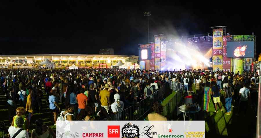 Reggae Therapy Crowd