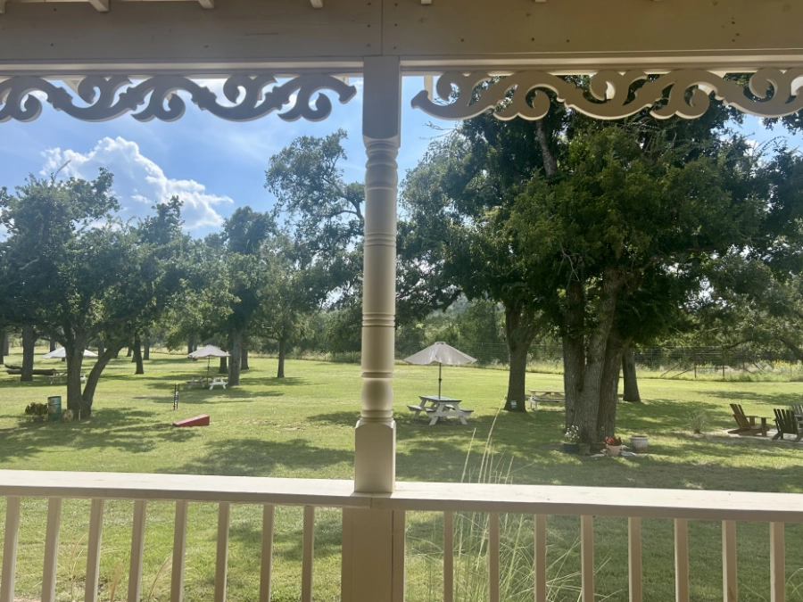 View from tasting porch of Prochnow Vineyard