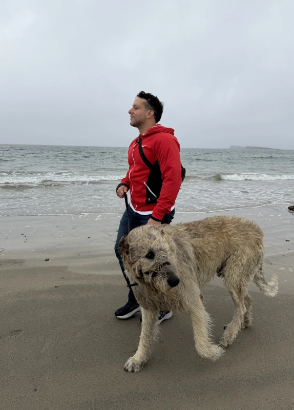 Westport Wolfhounds